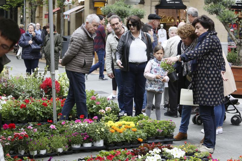 En la Calle Loiola de Donostia se celebra la IX Feria de flores y plantas, compuesta de varios puestos donde exponen flores y plantas para balcones, arte floral, arbustos, plantas aromáticas y culinarias, semillas, accesorios florales, productos de cosmética y medicina natural, entre otros. 