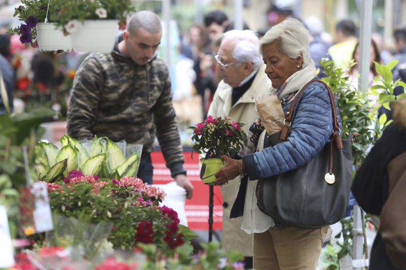 En la Calle Loiola de Donostia se celebra la IX Feria de flores y plantas, compuesta de varios puestos donde exponen flores y plantas para balcones, arte floral, arbustos, plantas aromáticas y culinarias, semillas, accesorios florales, productos de cosmética y medicina natural, entre otros. 