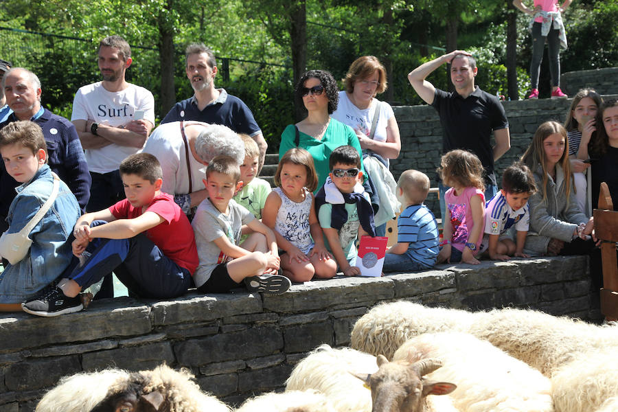 Idiazabal ha vivido este domingo una nueva edición de la Feria del Queso Vasco.