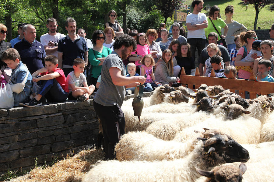 Idiazabal ha vivido este domingo una nueva edición de la Feria del Queso Vasco.