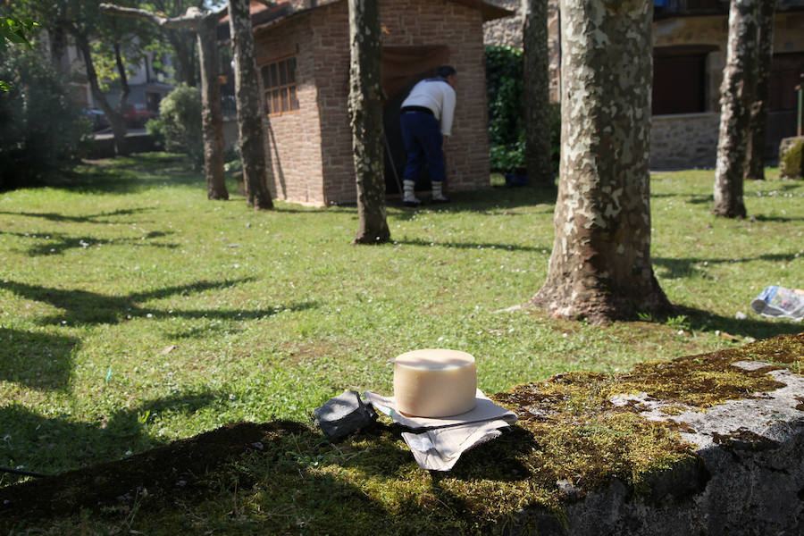 Idiazabal ha vivido este domingo una nueva edición de la Feria del Queso Vasco.