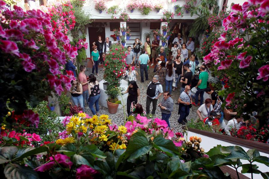 Córdboa vive estos días su tradicional fiesta de los patios, que llena de aroma y color sus calles con multicolores flores. El evento atrae a miles de turistas cada año.