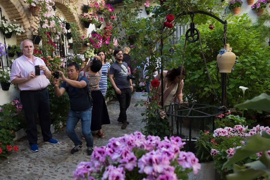 Córdboa vive estos días su tradicional fiesta de los patios, que llena de aroma y color sus calles con multicolores flores. El evento atrae a miles de turistas cada año.