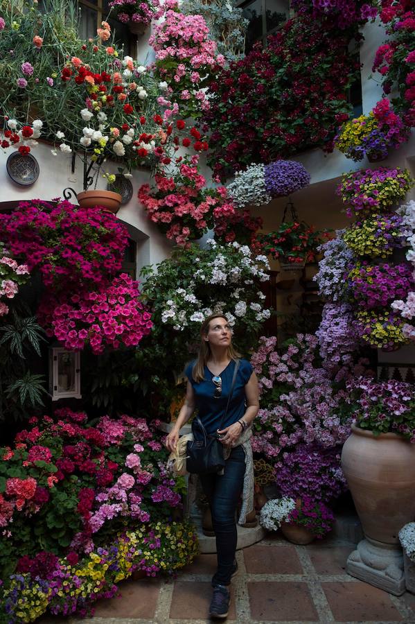 Córdboa vive estos días su tradicional fiesta de los patios, que llena de aroma y color sus calles con multicolores flores. El evento atrae a miles de turistas cada año.