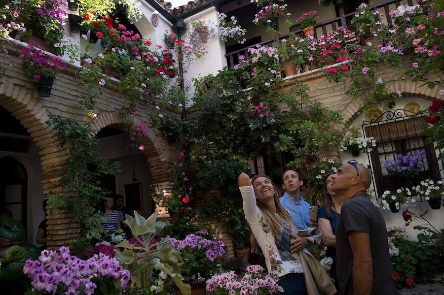 Córdboa vive estos días su tradicional fiesta de los patios, que llena de aroma y color sus calles con multicolores flores. El evento atrae a miles de turistas cada año.