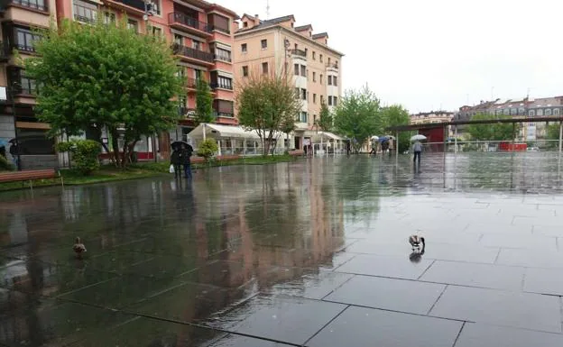 Los dos patos en la Plaza de San Juan, en Irun
