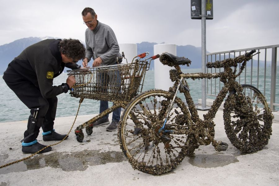 Imágenes tomadas durante la novena edición del evento de limpieza 'Net'Leman' , en Vevey, Suiza. El Net'Leman es un evento de un día en el que los voluntarios limpian el lago de Ginebra y sus costas. Este año la protagonista es una bicicleta cubierta de mejillones.