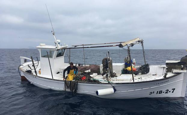 «El mar tiene una diversidad apabullante, ¿por qué solo llegan a los restaurantes media docena de pescados?»