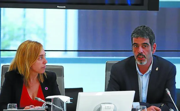Goia, ayer en la comisión de las Juntas que preside Susana García Chueca.