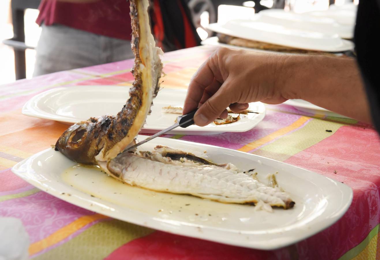 Cientos de personas disfrutaron del ya tradicional evento en Tolosa.