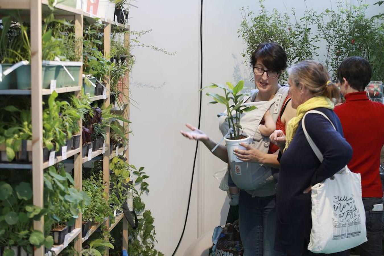 Este año Bioterra vuelve a acercar productos y servicios ecológicos y sostenibles. Su rigor, variedad y sus actividades complementarias hacen que este sea el evento de referencia en Euskadi. 