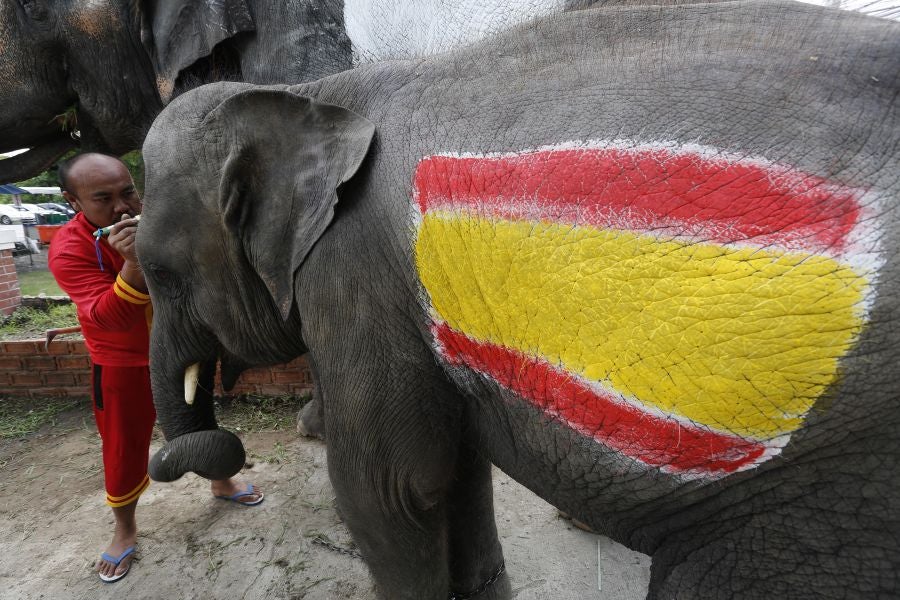 En Ayutthaya, al norte de Bangkok, han organizado este curioso partido de fútbol entre elefantes para promocionar el Mundial que arranca este mismo viernes