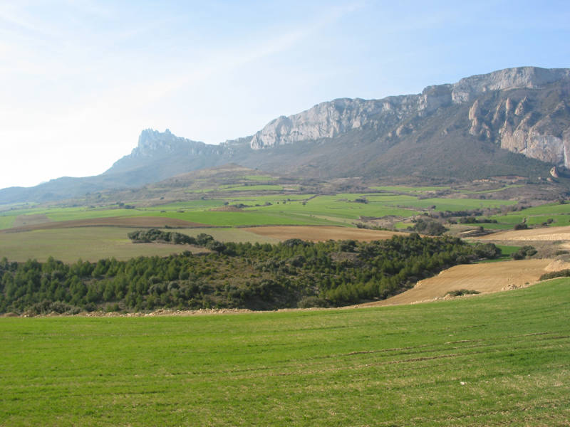 Entre la majestuosa sierra de Cantabria y las orillas del Ebro se extiende un territorio de suaves colinas donde se funden modernidad y tradición