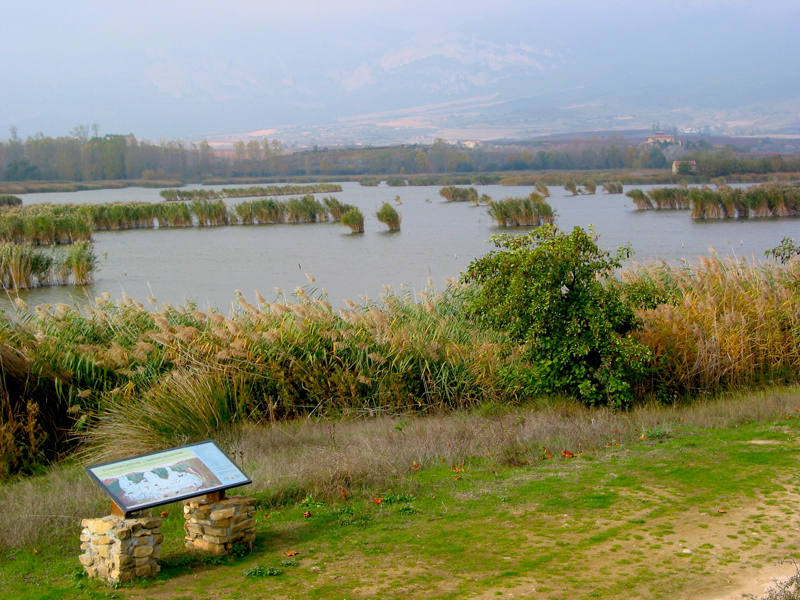 Entre la majestuosa sierra de Cantabria y las orillas del Ebro se extiende un territorio de suaves colinas donde se funden modernidad y tradición