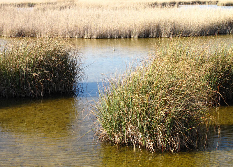 Entre la majestuosa sierra de Cantabria y las orillas del Ebro se extiende un territorio de suaves colinas donde se funden modernidad y tradición