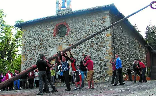 Árbol de San Juan . Los baserritarras mantienen el procedimiento de antaño para su colocación.