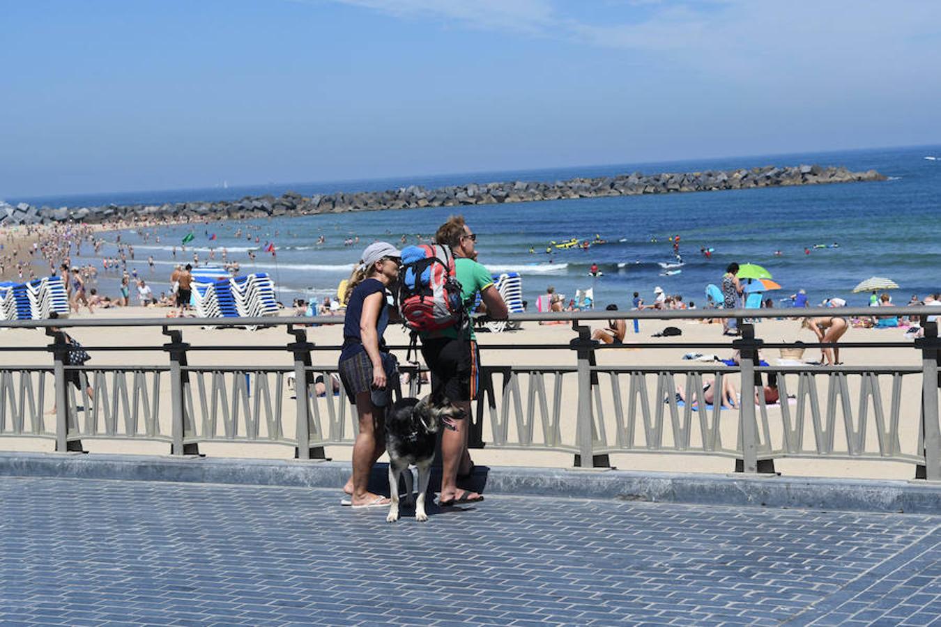 El buen tiempo nos acompañará toda la semana en la capital guipuzcoana salvo la jornada del miércoles, en la que caerán precipitaciones sin gran importancia