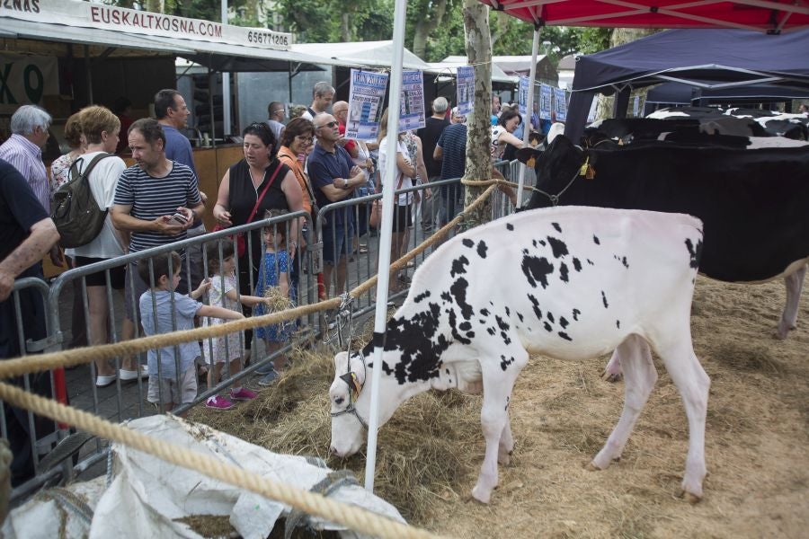 A pesar de lo largo e intenso que fue el sábado en Irun, durante el día grande de los sanmarciales, la ciudad volvió a echarse a la calle ayer para poner el broche de oro a más de una semana de festejos. La plaza Urdanibia fue, un año más, el epicentro del programa del último día de las fiestas de San Pedro y San Marcial.