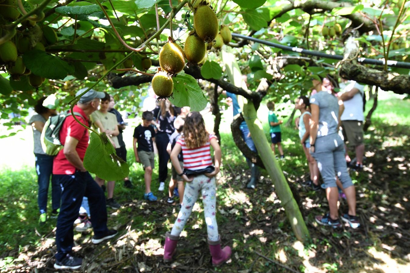 «Ongi etorri baserrira!» es una iniciativa de puertas abiertas que permite visitar caseríos guipuzcoanos y ver cómo es su día a día trabajando