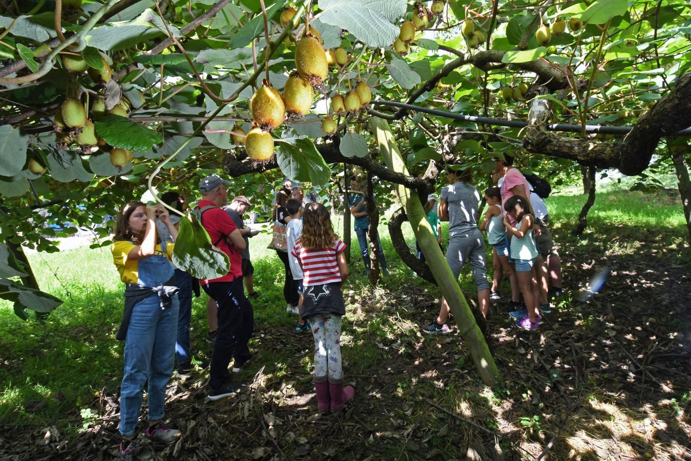 «Ongi etorri baserrira!» es una iniciativa de puertas abiertas que permite visitar caseríos guipuzcoanos y ver cómo es su día a día trabajando
