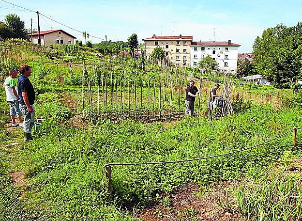 Parque de huertas. Se asesorará a los usuarios. 