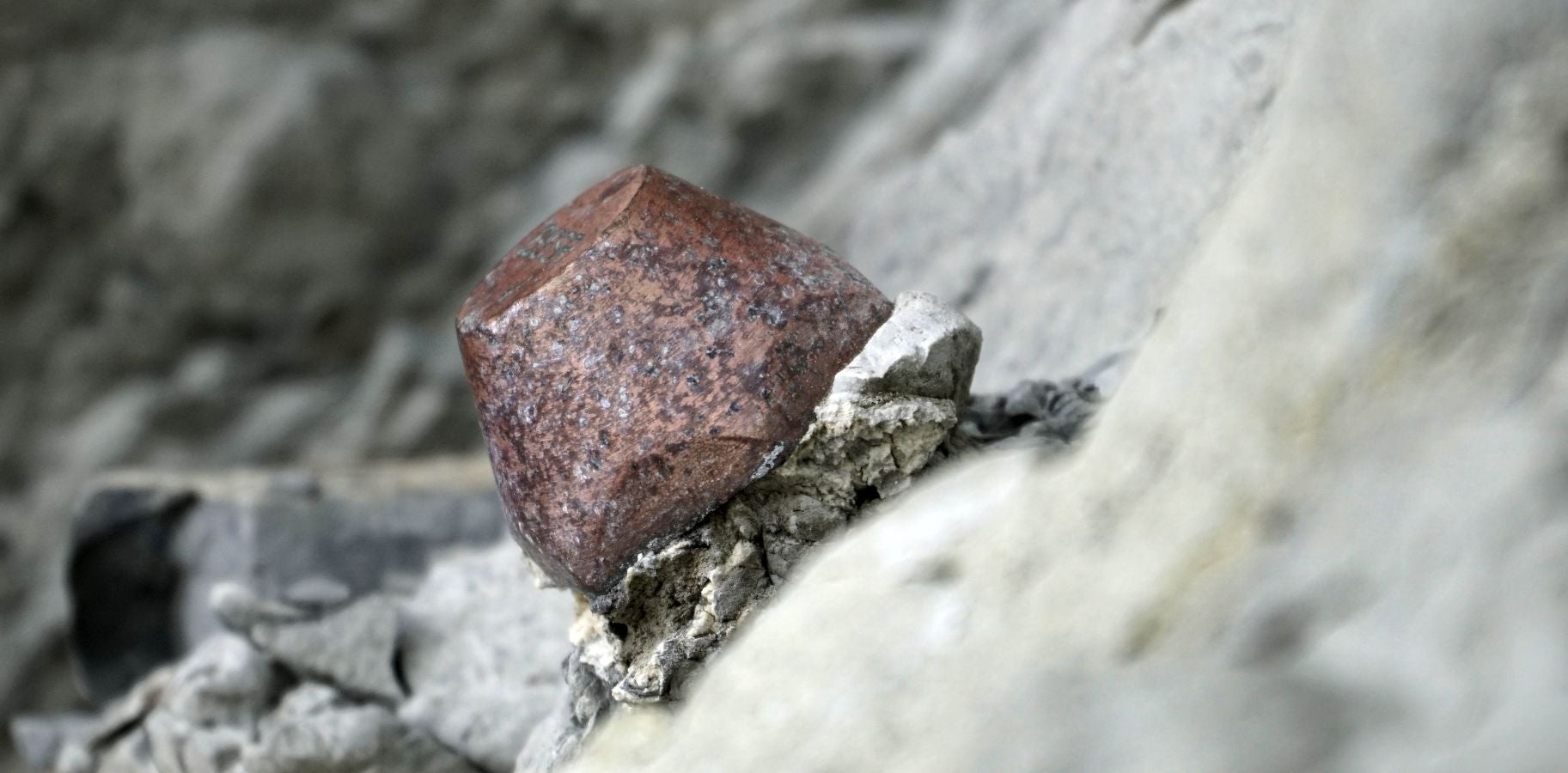 Cuatro años después de su primer proceso de revalidación, superado de manera contundente con una 'tarjeta verde', el Geoparque de la Costa Vasca acoge a evaluadores internacionales de la Unesco para determinar si continúa como Geoparque Mundial de la Unesco por un período de otros cuatro años.