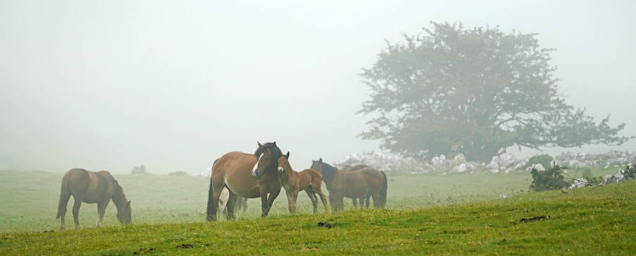 Lo que estaba catalogado como «túmulo» ha resultado ser una edificación -de planta aparentemente octogonal- que data de la época de los romanos. Concretamente, de entre los siglos I y III de nuestra era.