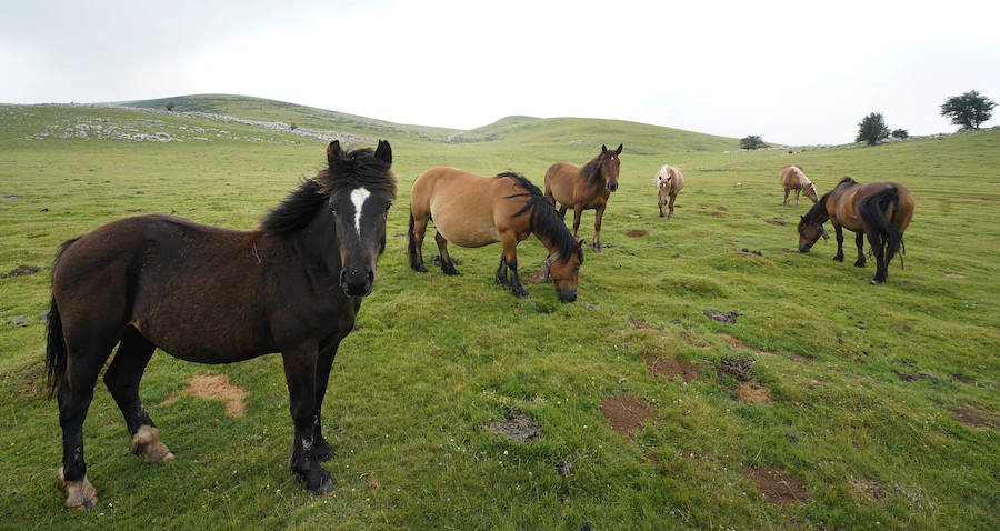 Lo que estaba catalogado como «túmulo» ha resultado ser una edificación -de planta aparentemente octogonal- que data de la época de los romanos. Concretamente, de entre los siglos I y III de nuestra era.