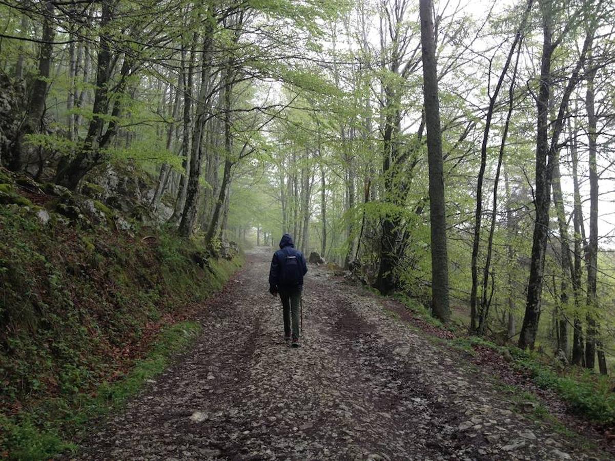 Empezando por la verde Euskadi, este itinerario le ofrece la oportunidad de vivir una experiencia de peregrinación única, siguiendo el proceso espiritual que hizo el fundador de la Compañía de Jesús.