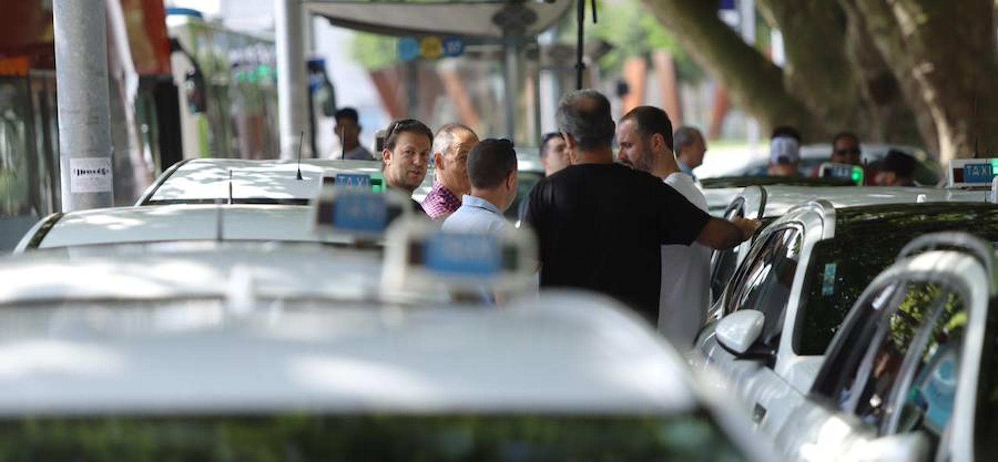 El sector de los taxistas se ha concentrado este lunes en la Estación del Norte yse ha dirigido en caravana hacia Pío XII