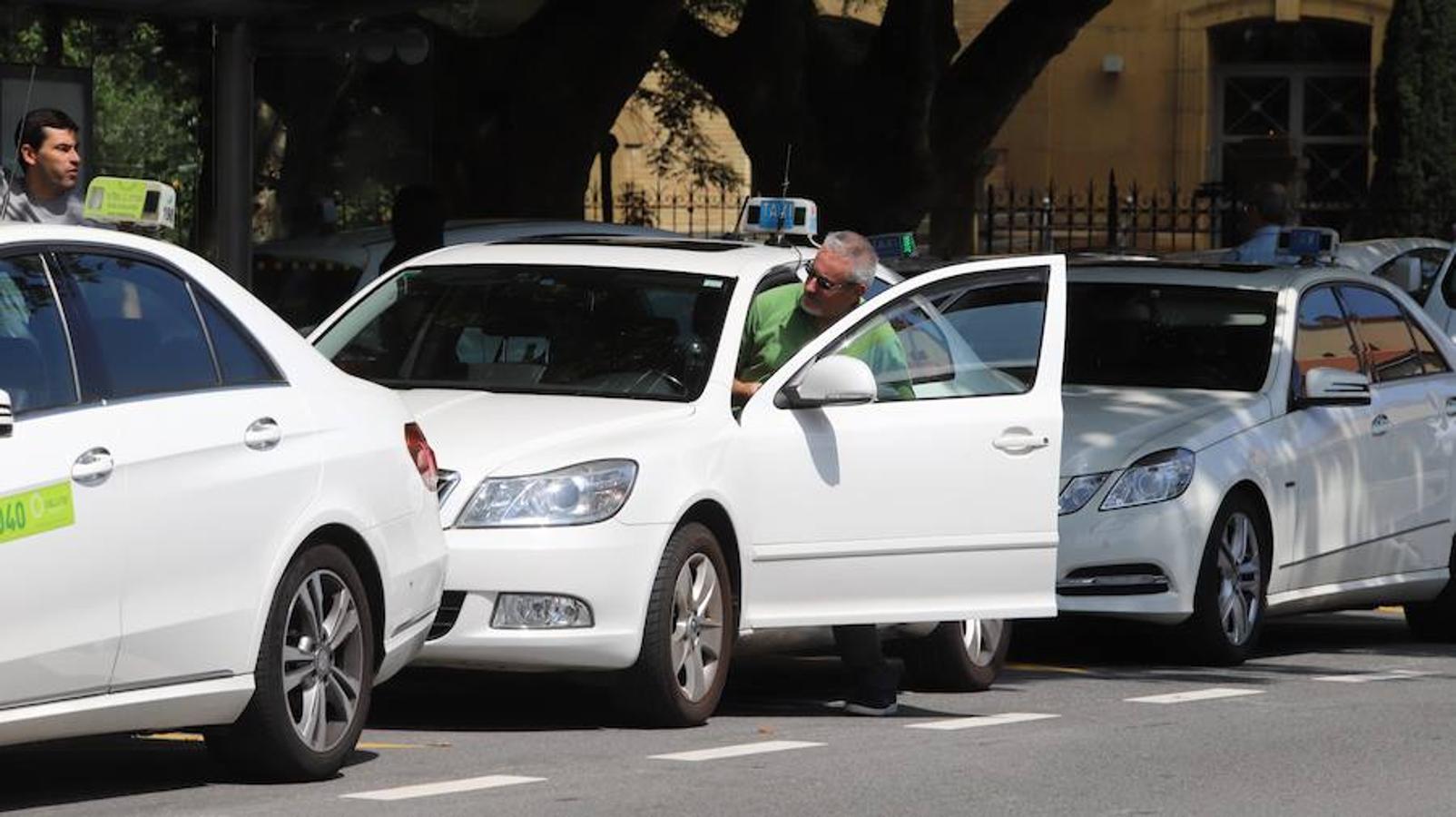 El sector de los taxistas se ha concentrado este lunes en la Estación del Norte yse ha dirigido en caravana hacia Pío XII