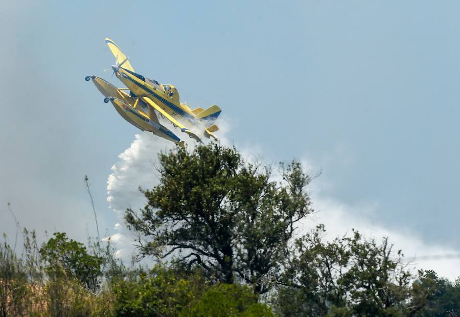 El incendio del Algarve portugués continúa su avance alimentado por el viento y la complicada orografía del terreno, donde más de un millar de bomberos buscan la fórmula para frenarlo tras quemar miles de hectáreas.