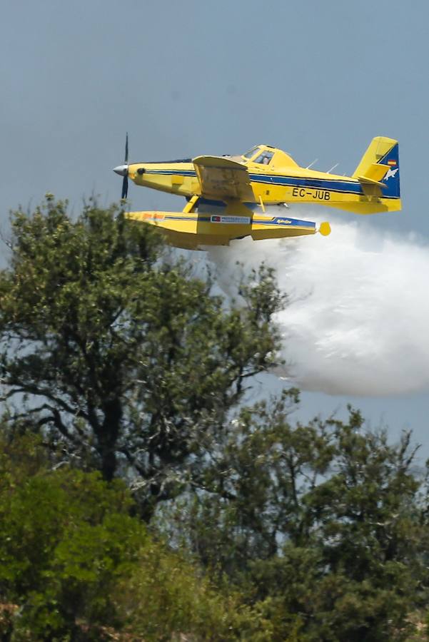 El incendio del Algarve portugués continúa su avance alimentado por el viento y la complicada orografía del terreno, donde más de un millar de bomberos buscan la fórmula para frenarlo tras quemar miles de hectáreas.