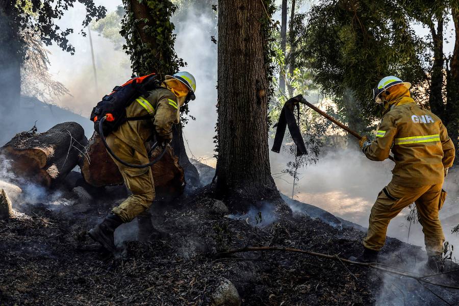 El incendio del Algarve portugués continúa su avance alimentado por el viento y la complicada orografía del terreno, donde más de un millar de bomberos buscan la fórmula para frenarlo tras quemar miles de hectáreas.