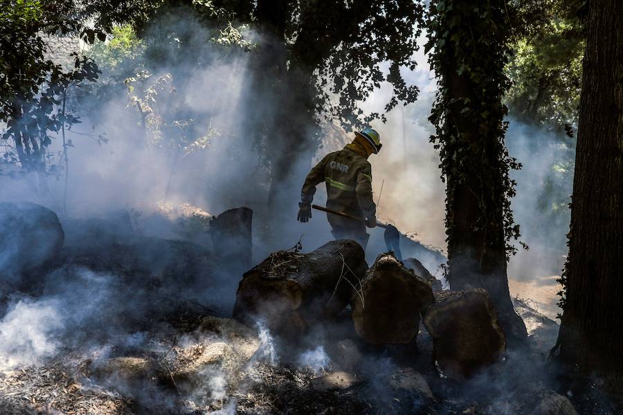 El incendio del Algarve portugués continúa su avance alimentado por el viento y la complicada orografía del terreno, donde más de un millar de bomberos buscan la fórmula para frenarlo tras quemar miles de hectáreas.