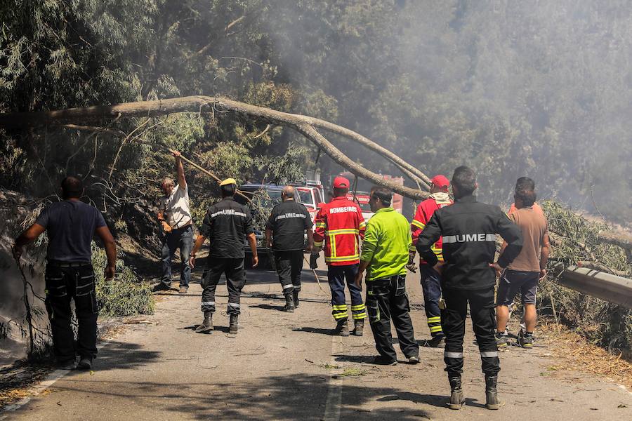 El incendio del Algarve portugués continúa su avance alimentado por el viento y la complicada orografía del terreno, donde más de un millar de bomberos buscan la fórmula para frenarlo tras quemar miles de hectáreas.