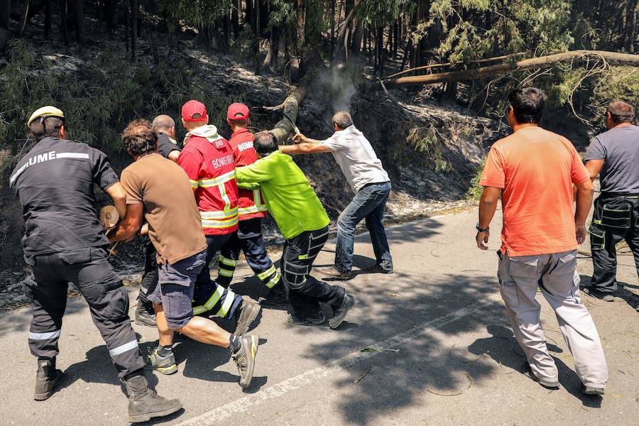 El incendio del Algarve portugués continúa su avance alimentado por el viento y la complicada orografía del terreno, donde más de un millar de bomberos buscan la fórmula para frenarlo tras quemar miles de hectáreas.