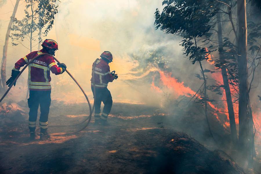 El incendio del Algarve portugués continúa su avance alimentado por el viento y la complicada orografía del terreno, donde más de un millar de bomberos buscan la fórmula para frenarlo tras quemar miles de hectáreas.