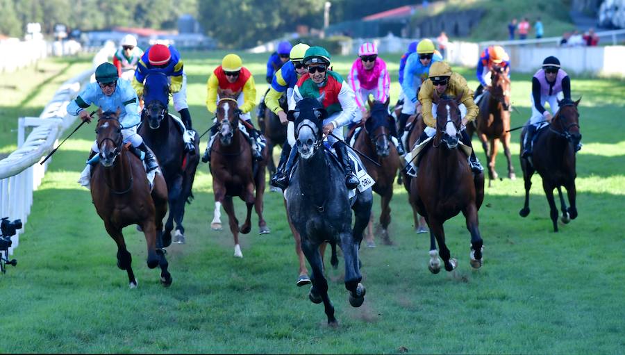 El caballo tordo de 4 años 'Cnicht' se ha impuesto este miércoles en los 2.400 metros de la Copa de Oro de San Sebastián, la carrera estrella del hipódromo donostiarra, con la monta del jockey Roberto Carlos Montenegro.