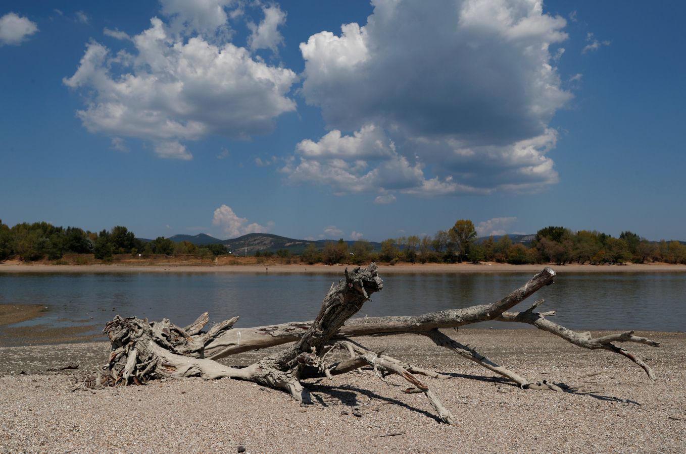 El seco y caluroso verano que está sufriendo Europa unido a la escasez de lluvias en Austria y Alemania ha dejado unos niveles de agua en el Danubio inusualmente bajos. 20 buques de pasajeros esperan en el puerto de Viena a que las lluvias previstas para el fin de semana les permitan continuar su trayecto.