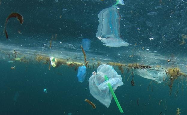 Sabías que gracias a unos patitos de goma se conocen mejor las corrientes  oceánicas? 