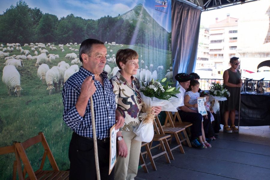 El Artzain Eguna de Gipuzkoa ha cumplido este domingo 28 años celebrándose en el centro de Legazpi, con la flor y nata del pastoreo del territorio como protagonistas.