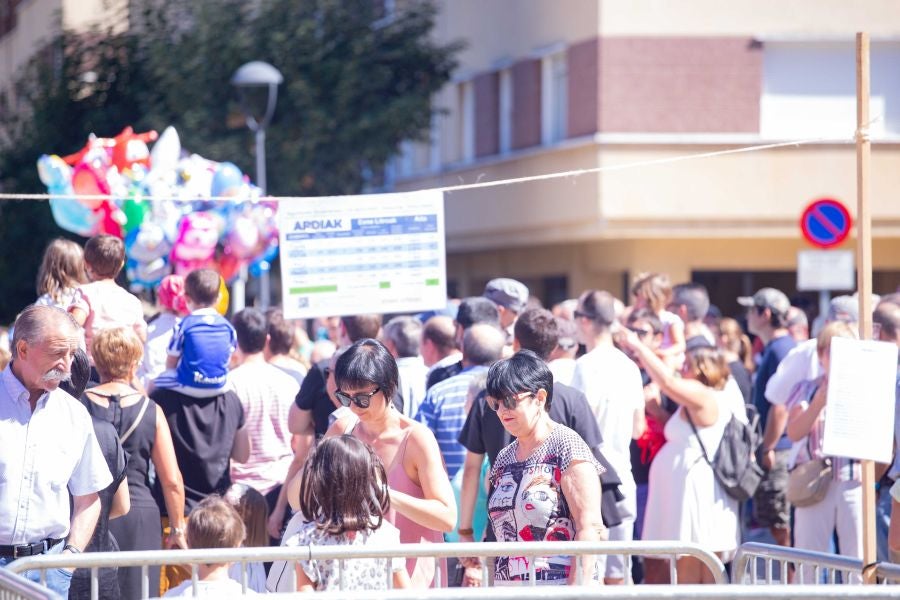 El Artzain Eguna de Gipuzkoa ha cumplido este domingo 28 años celebrándose en el centro de Legazpi, con la flor y nata del pastoreo del territorio como protagonistas.