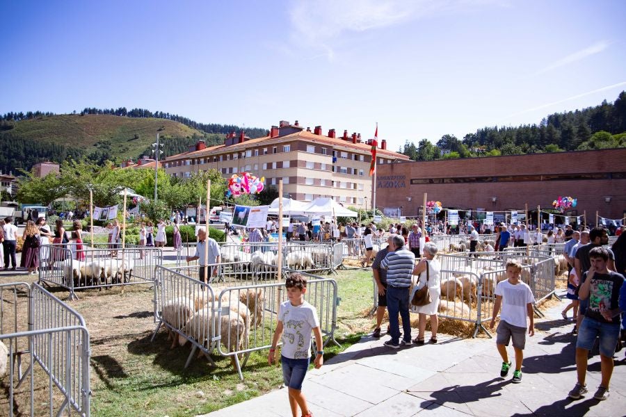 El Artzain Eguna de Gipuzkoa ha cumplido este domingo 28 años celebrándose en el centro de Legazpi, con la flor y nata del pastoreo del territorio como protagonistas.