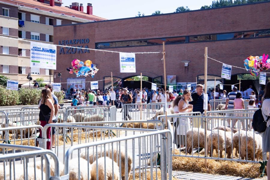 El Artzain Eguna de Gipuzkoa ha cumplido este domingo 28 años celebrándose en el centro de Legazpi, con la flor y nata del pastoreo del territorio como protagonistas.