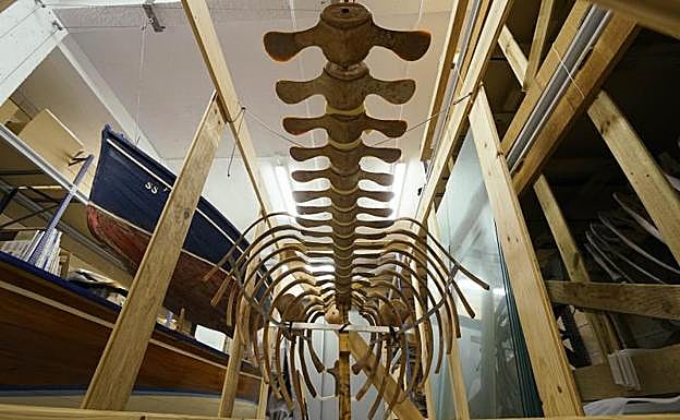 Imagen principal - Imágenes actuales del esqueleto. 