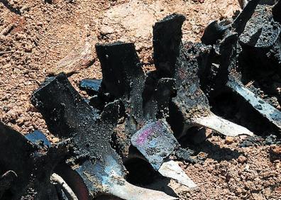 Imagen secundaria 1 - Una ballena emerge 18 años después