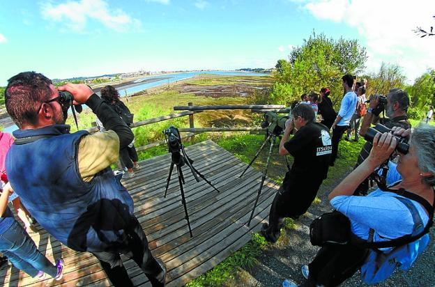 Punto de observación de aves en el parque de Plaiaundi. 