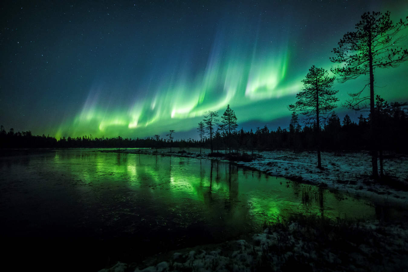 La aurora boreal es un fenómeno en forma de brillo o luminiscencia que se presenta en el cielo nocturno, generalmente en zonas polares, aunque puede aparecer en otras zonas del mundo. Estas fotografías fueron tomadas esta semana cerca de Rovaniemi en Laponia. 