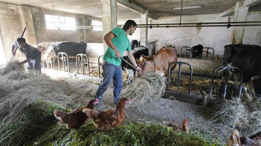 Gorka Iruretagoiena es un joven guipuzcoano que está orgulloso de formar parte del grupo de especialistas que hace sustituciones en un mundo, el rural, en el que es complejo tener días de fiesta